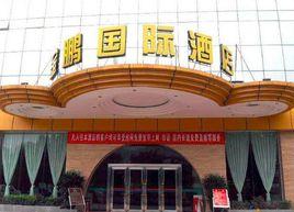 金鵬國際酒店 金鵬國際酒店