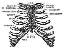 肋間隙可有壓痛 肋間隙可有壓痛