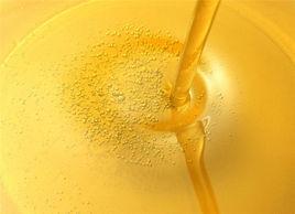 植物油脂 植物油脂