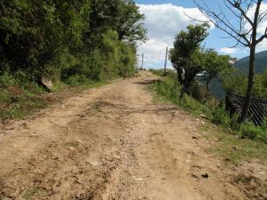 沙鳳自然村 沙鳳自然村