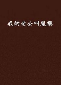 我的老公叫胤禩