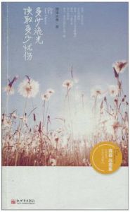 《多少流光換取多少憂傷》 《多少流光換取多少憂傷》