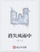 消失風雨中 消失風雨中