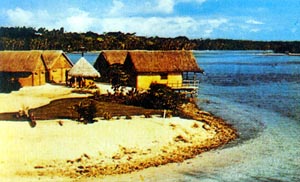 《憂憂愁愁的走了》 《憂憂愁愁的走了》