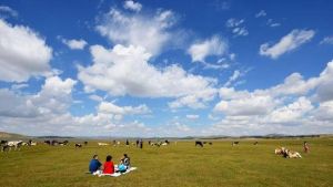 聚鑫園農家園 聚鑫園農家園