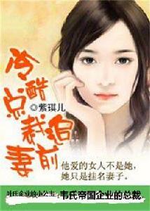 冷酷總裁追前妻 冷酷總裁追前妻