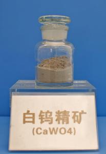 白鎢精礦 白鎢精礦