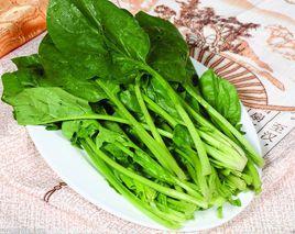 菠菜B族維生素 菠菜B族維生素