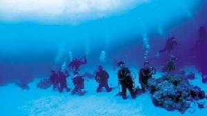 潛水進化論 潛水進化論