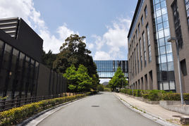 日本山口縣立大學 日本山口縣立大學