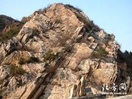 平移斷層 平移斷層