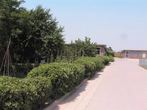 黃圈國小 黃圈國小