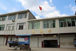 花園村[安徽省六安市金寨縣南溪鎮下轄村]