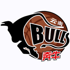 雲南紅河隊 雲南紅河隊