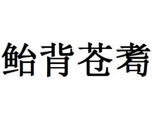 鮐背蒼耈