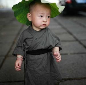 西禪寺超萌小和尚 西禪寺超萌小和尚