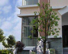 清華園住宅小區 清華園住宅小區