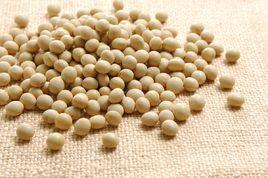 克山大豆 克山大豆