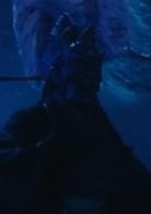 陰陽法王[1992年胡金銓指導香港電影]