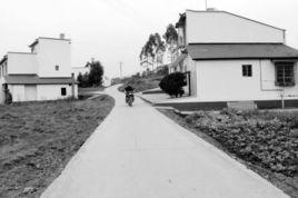 板橋鄉[四川省眉山市仁壽縣板橋鄉]