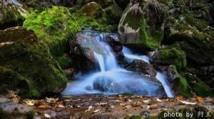 阿夏幽谷 阿夏幽谷