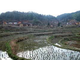 東江源村 東江源村