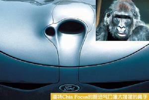 視動反應 視動反應