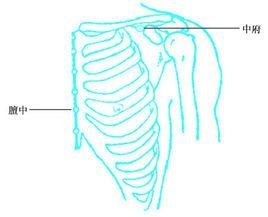 中府穴 中府穴