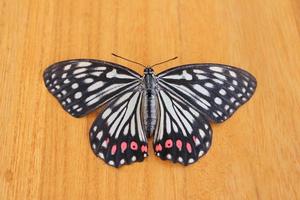 攝於2011年6月上旬 山東蒙陰蒙山風景區