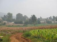 下寬塘自然村 下寬塘自然村