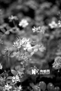 不負韶光 不負韶光