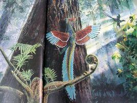 印板始祖鳥 印板始祖鳥