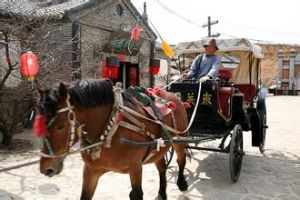 楊思祿血戰後官地