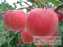 四川鹽源縣 四川鹽源縣