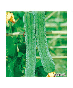 亞華早佳 亞華早佳