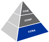 CCNA徽標