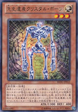 先史遺產 水晶骨架