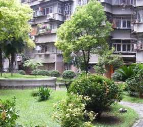 仁橋新村 仁橋新村