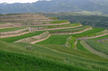 水土保持生態修復的技術方法