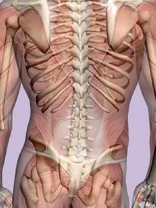 幼年脊柱關節病 幼年脊柱關節病