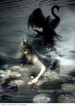 天鵝&middot;光源