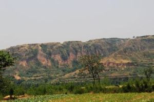 丁村村[河南省焦作市方莊鎮丁村村]