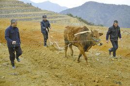 田洋湖村 田洋湖村