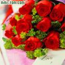 昨夜玫瑰輕輕飄落 昨夜玫瑰輕輕飄落