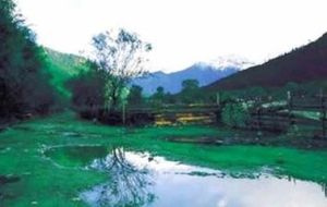 德青波章神山 德青波章神山