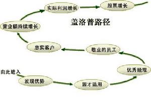 蓋洛普路徑 蓋洛普路徑