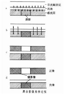 影像轉移感光材料 影像轉移感光材料