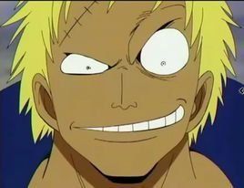 彈簧果實 彈簧果實