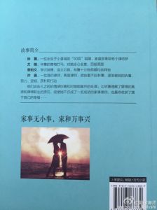 家事律師故事簡介