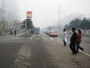 春園·旭日華庭 春園·旭日華庭